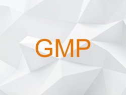 GMP Approved Products